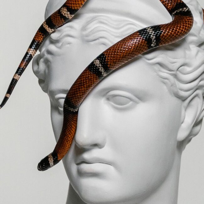 portfolio single img 16