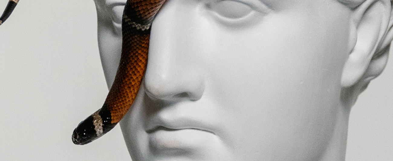 portfolio single img 18