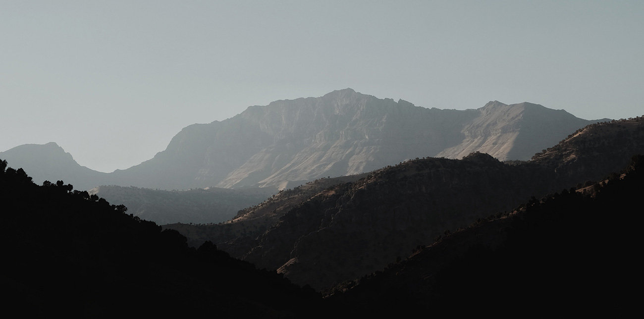 portfolio single img 8